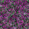 Bz.jpg (8494 bytes)