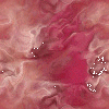 brown.gif (10399 bytes)