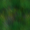 grass.jpg (5990 bytes)